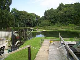 Forest Hill Trout Farm